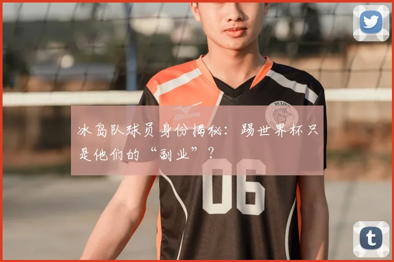 冰岛队球员身份揭秘：踢世界杯只是他们的“副业”？