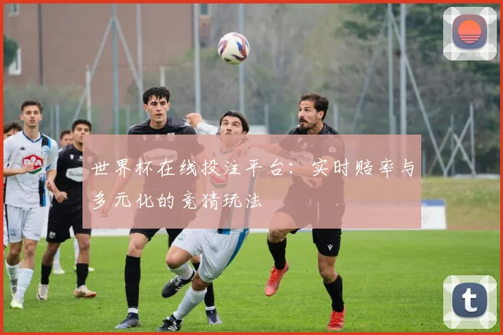 世界杯在线投注平台:实时赔率与多元化的竞猜玩法