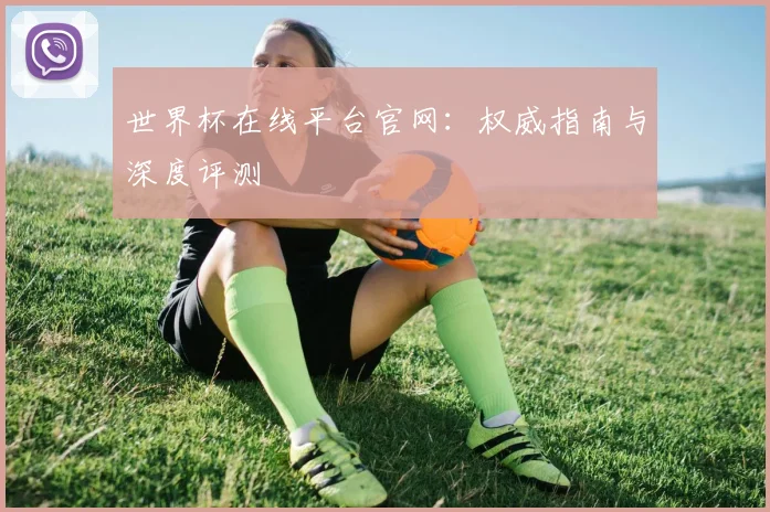 世界杯在线平台官网:权威指南与深度评测