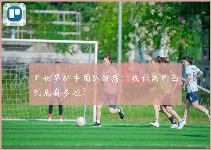年世界杯中国队缺席：我们离巴西到底有多远？