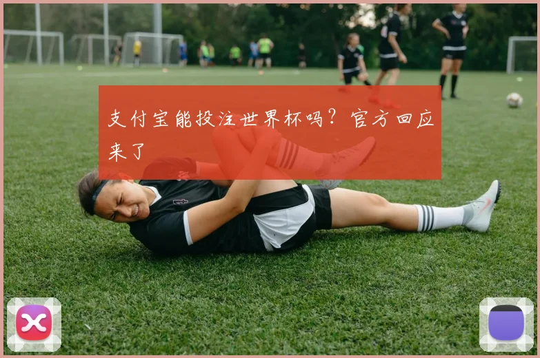 支付宝能投注世界杯吗？官方回应来了