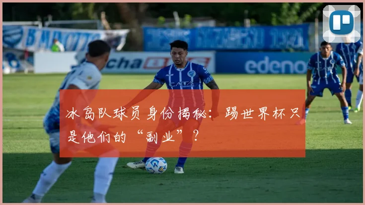 冰岛队球员身份揭秘：踢世界杯只是他们的“副业”？