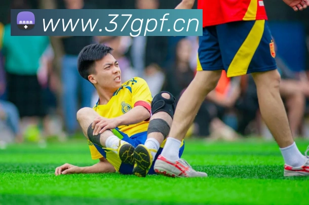 多媒体互动体验