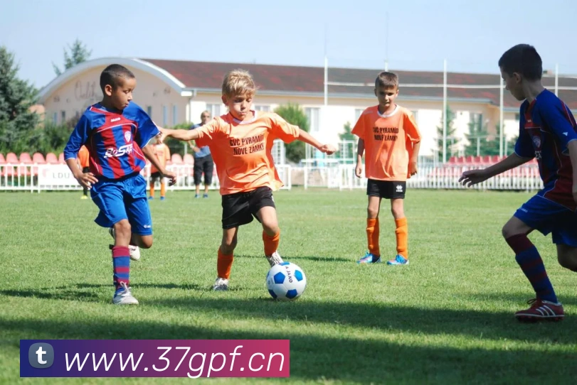 米兰体育在线登录入口APP 高清赛事图